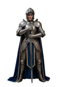 Full Body Medieval Knight Male Armor Suit & Helmet Combat Wearable Gothic Armoured Halloween Costume for LARP, Cosplay, Reenactment & Display Collectible Gift Silver