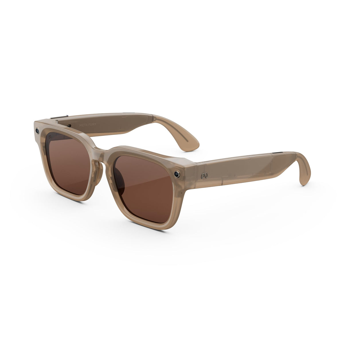 Meta Glasses, Fury AI Glasses