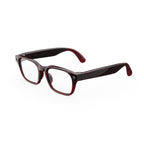 Meta Glasses, Adventurer AI Glasses