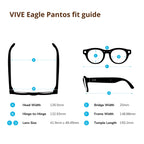 HTC Vive Eagle AI Glasses – Pantos Sunglasses, Charcoal Black